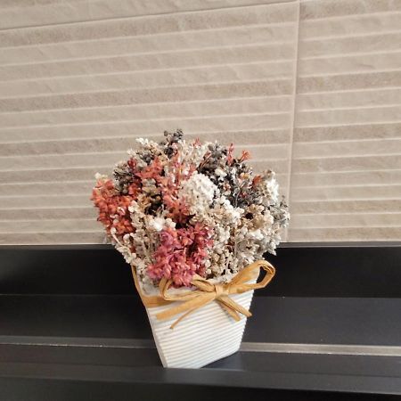 Apartamento Ejido Centro 厄尔埃基多 外观 照片